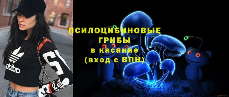 ссылка на мегу как зайти  Зверево  Псилоцибиновые грибы MAGIC MUSHROOMS  дарнет шоп 